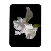 Magnet Flexible Fleurs | White Iris (Vertical)