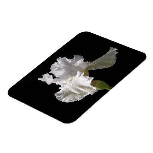 Magnet Flexible Fleurs | White Iris (Côté Gauche)