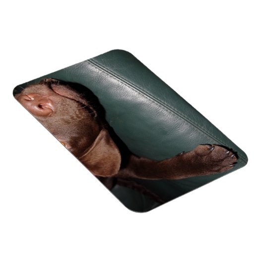 Magnet Flexible Flexi Aimant (Côté Droit)