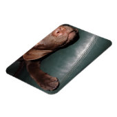 Magnet Flexible Flexi Aimant (Côté Gauche)