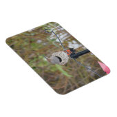 Magnet Flexible Flickr du Nord sur l'aimant d'alimentation des ois (Côté Droit)