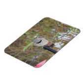 Magnet Flexible Flickr du Nord sur l'aimant d'alimentation des ois (Côté Gauche)