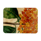 Magnet Flexible Floral I (Horizontal)