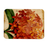 Magnet Flexible Floral III (Horizontal)