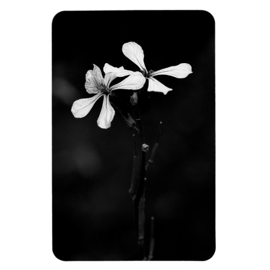 Magnet Flexible floral noir et blanc minimal (Vertical)