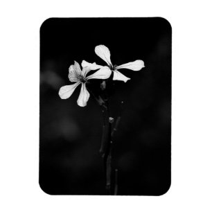 Magnet Flexible floral noir et blanc minimaliste