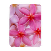 Magnet Flexible Floral rose doux (Vertical)