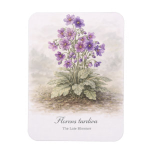 Magnet Flexible Florens tardiva La Fleur Tardive Botanique