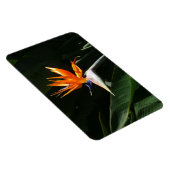 Magnet Flexible Flower tropical orange paradise (Côté Droit)