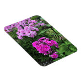 Magnet Flexible Flowers at Château Morrisette Winery, Floyd, VA (Côté Droit)