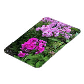 Magnet Flexible Flowers at Château Morrisette Winery, Floyd, VA (Côté Gauche)