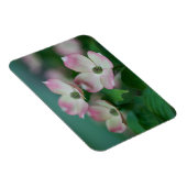 Magnet Flexible Flowers (homonymie) | Blossoms de Dogwood (Côté Droit)