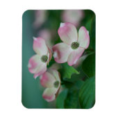 Magnet Flexible Flowers (homonymie) | Blossoms de Dogwood (Vertical)