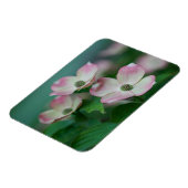 Magnet Flexible Flowers (homonymie) | Blossoms de Dogwood (Côté Gauche)