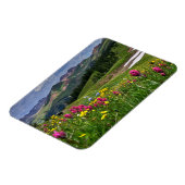 Magnet Flexible Flowers (homonymie) | Wildflowers Durango (Côté Gauche)
