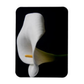 Magnet Flexible Flowers | White Calla Lily (Vertical)