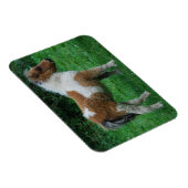 Magnet Flexible Fluffy Adorable Dartmoor Pony (Côté Droit)