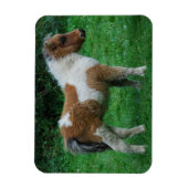 Magnet Flexible Fluffy Adorable Dartmoor Pony (Vertical)
