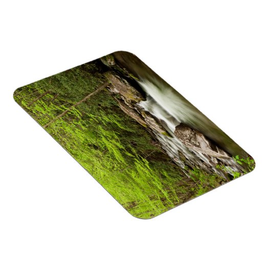 Magnet Flexible Flux De Fourche Droite À Travers La Forêt (Côté Droit)