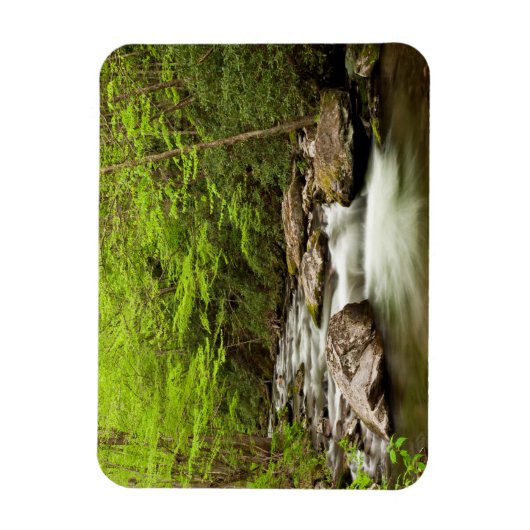 Magnet Flexible Flux De Fourche Droite À Travers La Forêt (Vertical)