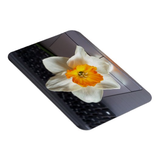 Magnet Flexible Flux sur le clavier (Côté Droit)