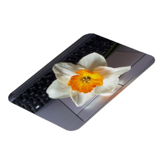 Magnet Flexible Flux sur le clavier (Côté Gauche)