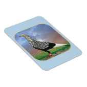 Magnet Flexible Flying Flight and Clouds (Côté Droit)