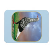 Magnet Flexible Flying Flight and Clouds (Horizontal)