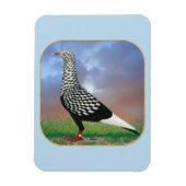 Magnet Flexible Flying Flight and Clouds (Vertical)