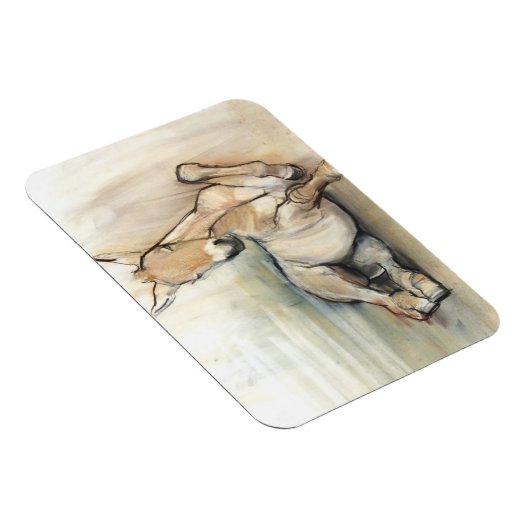 Magnet Flexible Foal 2012 (Côté Droit)