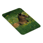 Magnet Flexible Foal allongé dans les fleurs (Côté Droit)