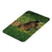 Magnet Flexible Foal allongé dans les fleurs (Côté Gauche)