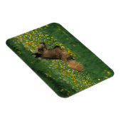 Magnet Flexible Foal allongé dans les fleurs (Côté Droit)