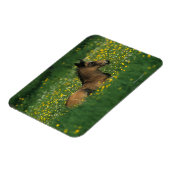Magnet Flexible Foal allongé dans les fleurs (Côté Gauche)