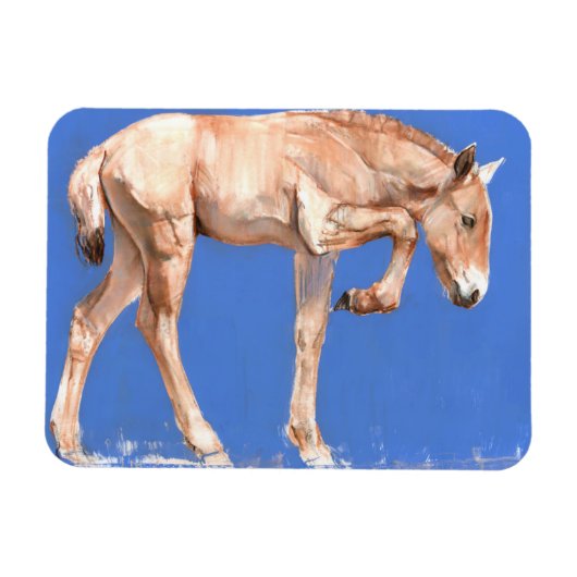 Magnet Flexible Foal de Przewalski 2012 (Horizontal)