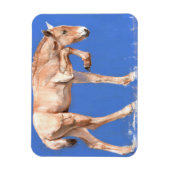 Magnet Flexible Foal de Przewalski 2012 (Vertical)