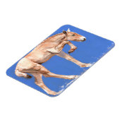 Magnet Flexible Foal de Przewalski 2012 (Côté Gauche)