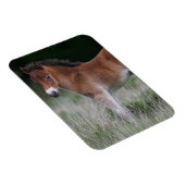 Magnet Flexible Foie debout (Côté Droit)