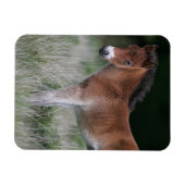 Magnet Flexible Foie debout (Horizontal)