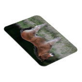 Magnet Flexible Foie debout (Côté Droit)