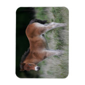 Magnet Flexible Foie debout (Vertical)