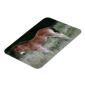 Magnet Flexible Foie debout (Côté Gauche)
