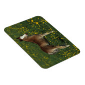 Magnet Flexible Foie gallois (Côté Droit)