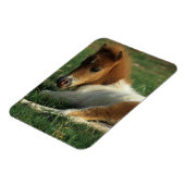 Magnet Flexible Foie Miniature Pointé (Côté Gauche)