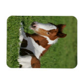 Magnet Flexible Foie pondu dans l'herbe (Horizontal)