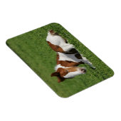 Magnet Flexible Foie pondu dans l'herbe (Côté Droit)