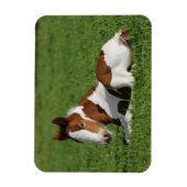 Magnet Flexible Foie pondu dans l'herbe (Vertical)