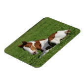 Magnet Flexible Foie pondu dans l'herbe (Côté Gauche)