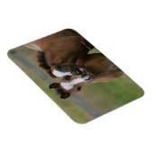 Magnet Flexible Foies jouant (Côté Droit)