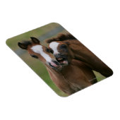 Magnet Flexible Foies jouant (Côté Droit)